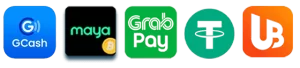 paldoplus online casino payment options with mobile app download and games access